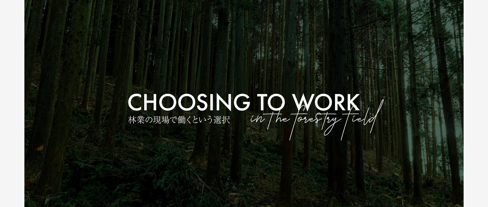 林業の現場で、働くという選択。